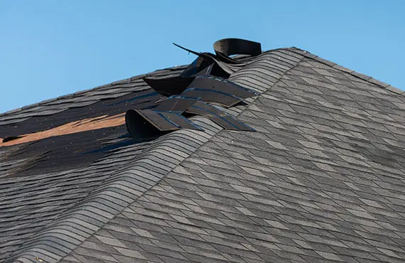 roof-repair-front-page